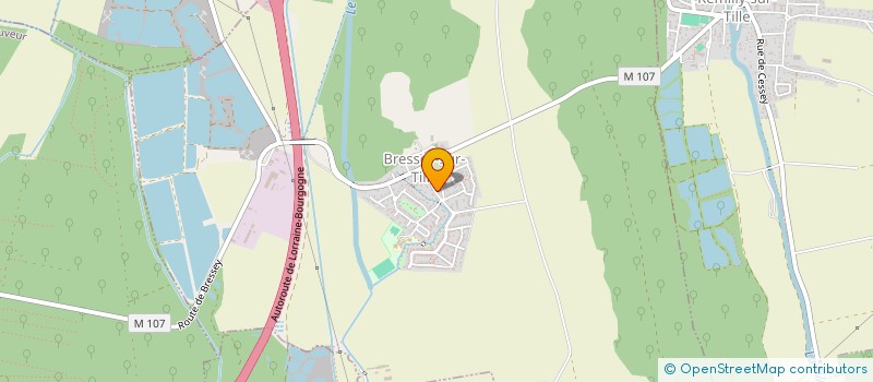 localisation de l'entreprise MONSIEUR MARIO AVENIA  BRESSEY-SUR-TILLE