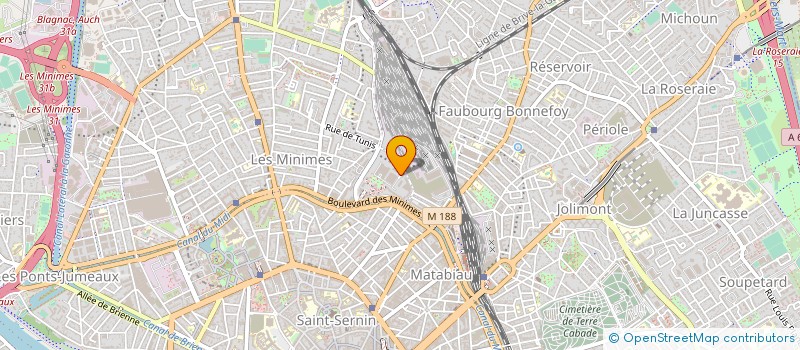 localisation de l'entreprise MONSIEUR MARIO BORTOLUSSI à TOULOUSE