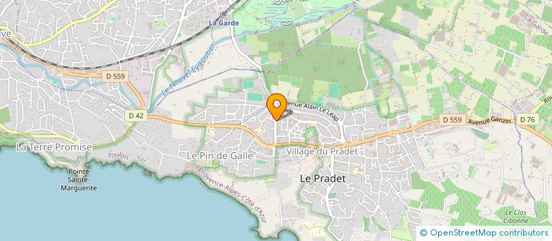 localisation de l'entreprise MONSIEUR MARIO GONCALVES SILVA à LE PRADET
