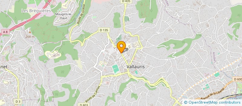 localisation de l'entreprise MONSIEUR MARIO LANDRY  VALLAURIS