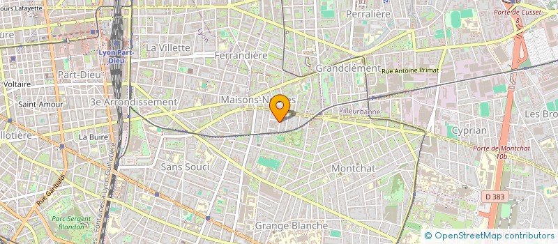 localisation de l'entreprise MONSIEUR MARIO LEPETIT  LYON