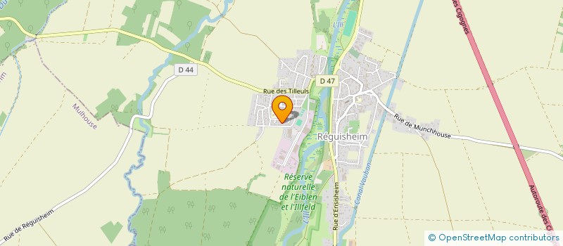 localisation de l'entreprise MONSIEUR MARIO MELONI  REGUISHEIM