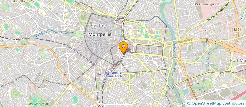 localisation de l'entreprise MONSIEUR MARIO PIACENTINI à MONTPELLIER