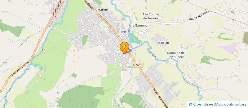 localisation de l'entreprise MONSIEUR MARIO RAMALHO FERREIRA  PAVIE