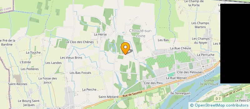 localisation de l'entreprise MONSIEUR MARIO ROBIN  CHOUZE-SUR-LOIRE