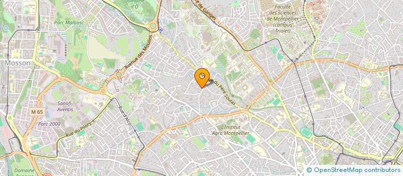 localisation de l'entreprise MONSIEUR MARIO ROURE à MONTPELLIER