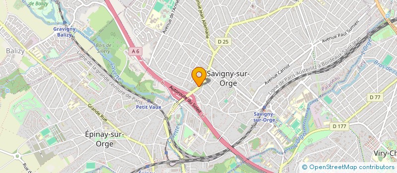 localisation de l'entreprise MONSIEUR MARIO SHAFIK à SAVIGNY-SUR-ORGE