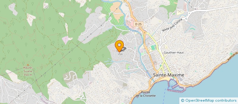 localisation de l'entreprise MONSIEUR MARIO VIDONI à SAINTE-MAXIME