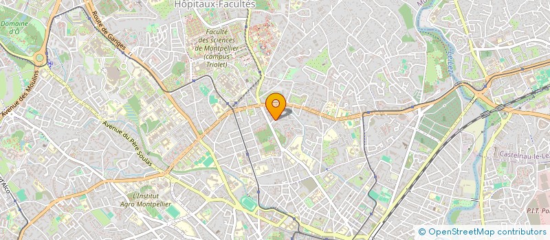 localisation de l'entreprise MONSIEUR MARIUS ANCUTA  MONTPELLIER