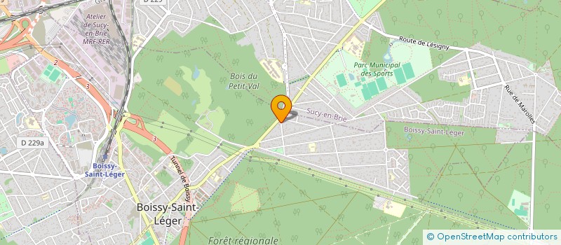 localisation de l'entreprise MONSIEUR MARIUS BOGDAN à BOISSY-SAINT-LEGER