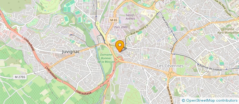 localisation de l'entreprise MONSIEUR MARIUS BUCIUMANU  MONTPELLIER