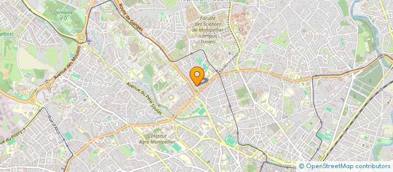 localisation de l'entreprise MONSIEUR MARIUS CARLES à MONTPELLIER