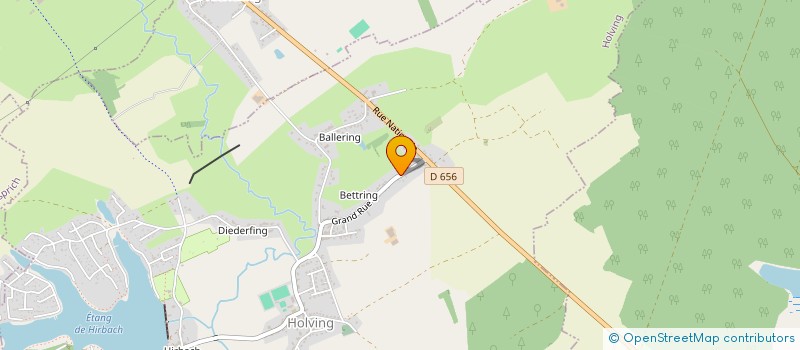 localisation de l'entreprise MONSIEUR MARIUS GROSS  HOLVING