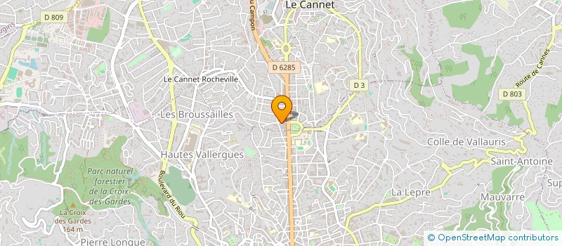 localisation de l'entreprise MONSIEUR MARIUS KELIUOTIS à LE CANNET