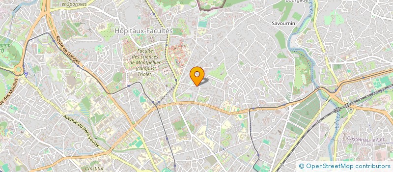 localisation de l'entreprise MONSIEUR MARKO OSZTOJITY à MONTPELLIER