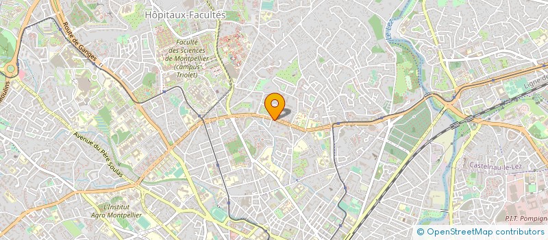 localisation de l'entreprise MONSIEUR MARKO THURMANN à MONTPELLIER