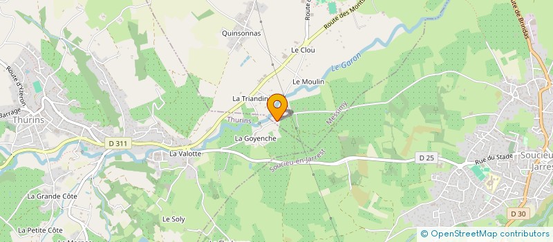 localisation de l'entreprise MONSIEUR MARKUS KRICH à THURINS