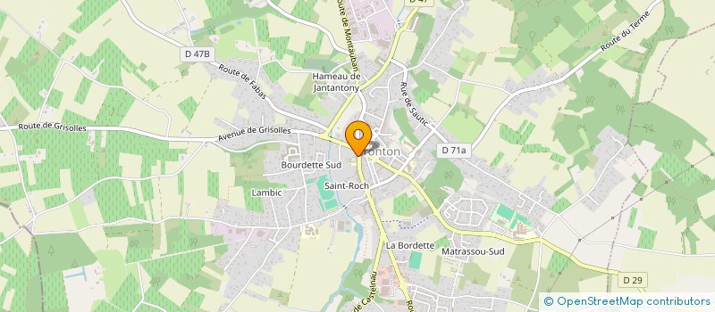 localisation de l'entreprise MONSIEUR MARKUS WANGER  FRONTON