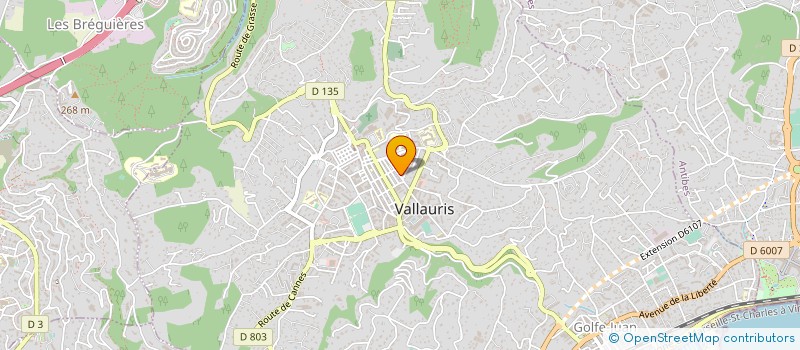 localisation de l'entreprise MONSIEUR MAROUEN BEN HAMIDA  VALLAURIS