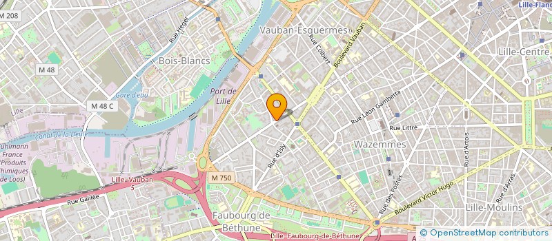 localisation de l'entreprise MONSIEUR MARTIAL IMMESOETE à LILLE
