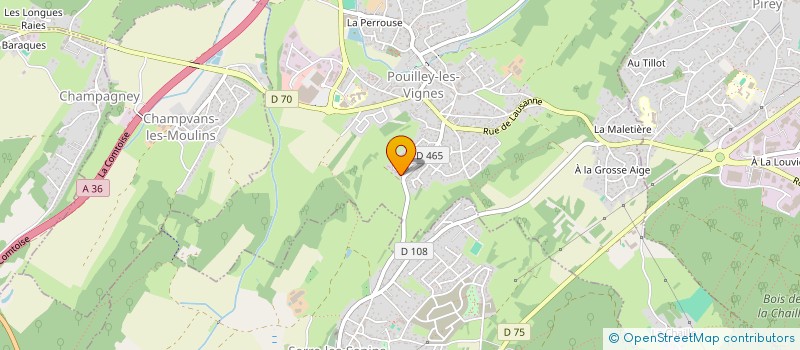 localisation de l'entreprise MONSIEUR MARTIAL LEVE  POUILLEY-LES-VIGNES