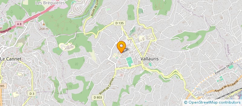 localisation de l'entreprise MONSIEUR MARTIAL QUERE à VALLAURIS