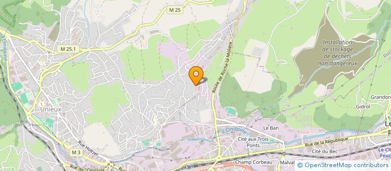 localisation de l'entreprise MONSIEUR MARTIAL TOMUSIAK  UNIEUX