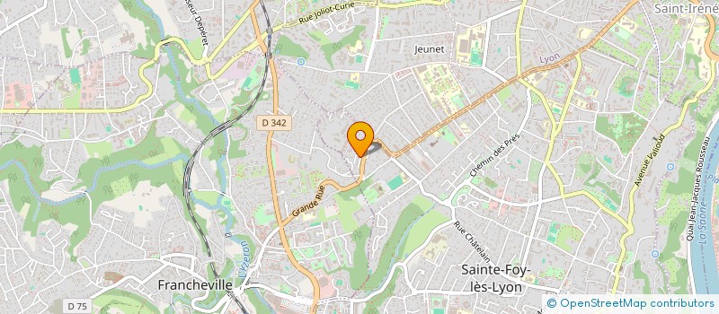 localisation de l'entreprise MONSIEUR MARTIN BECHET  SAINTE-FOY-LES-LYON