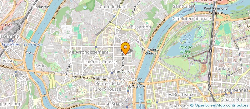 localisation de l'entreprise MONSIEUR MARTIN BESSON à LYON