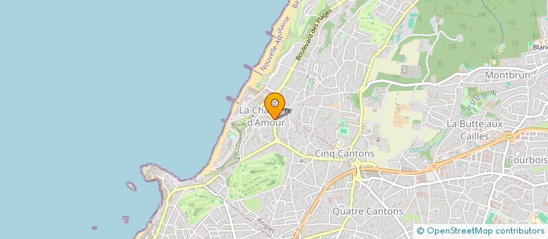 localisation de l'entreprise MONSIEUR MARTIN BOISSON  ANGLET