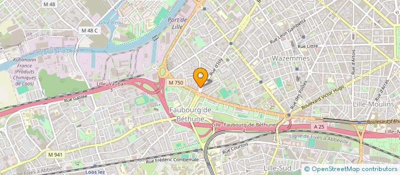 localisation de l'entreprise MONSIEUR MARTIN BOUDAILLIEZ à LILLE