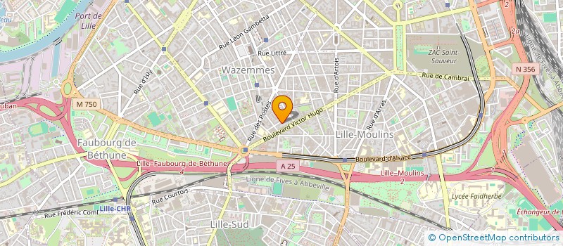 localisation de l'entreprise MONSIEUR MARTIN DUCARIN à LILLE