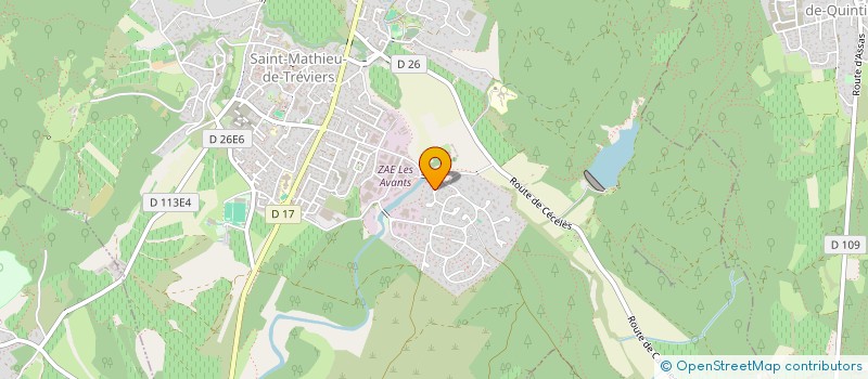 localisation de l'entreprise MONSIEUR MARTIN FELDMANN  SAINT-MATHIEU-DE-TREVIERS