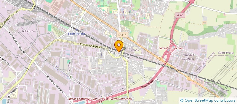 localisation de l'entreprise MONSIEUR MARTIN FLORES  MIONS