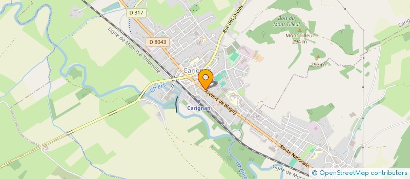 localisation de l'entreprise MONSIEUR MARTIN GERARD  CARIGNAN