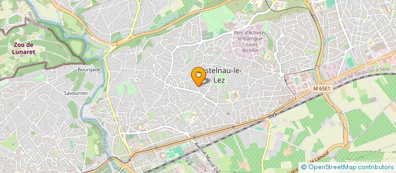 localisation de l'entreprise MONSIEUR MARTIN GONZALEZ à CASTELNAU-LE-LEZ