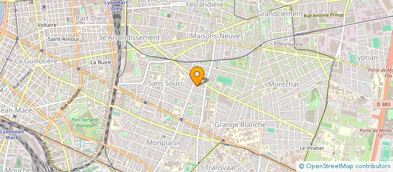 localisation de l'entreprise MONSIEUR MARTIN GREFFE  LYON