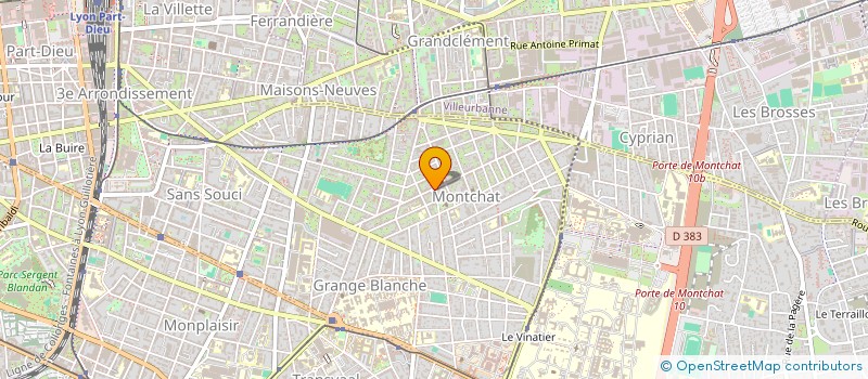 localisation de l'entreprise MONSIEUR MARTIN GUICHARD  LYON