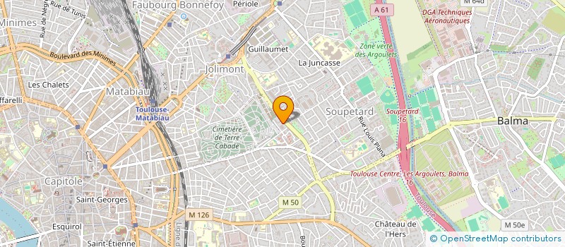 localisation de l'entreprise MONSIEUR MARTIN LAMOU à TOULOUSE