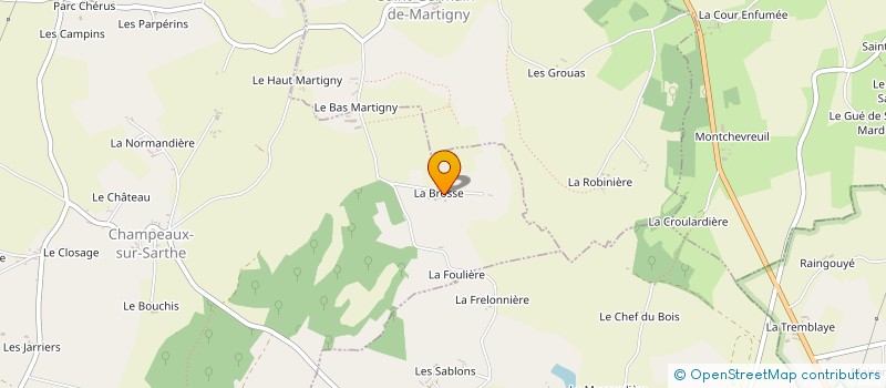 localisation de l'entreprise MONSIEUR MARTIN LE TORS DE CRECY à CHAMPEAUX SUR SARTHE