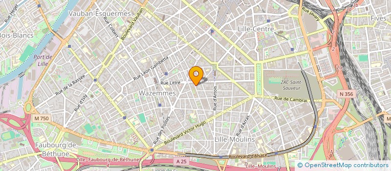 localisation de l'entreprise MONSIEUR MARTIN LESAGE  LILLE