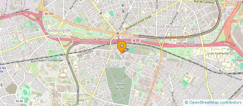 localisation de l'entreprise MONSIEUR MARTIN MATHIEU à LILLE
