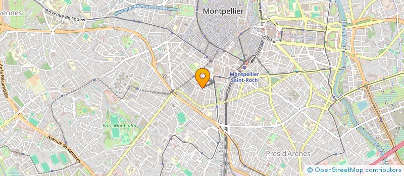 localisation de l'entreprise MONSIEUR MARTIN MITIDIERI à MONTPELLIER