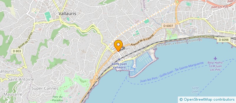 localisation de l'entreprise MONSIEUR MARTIN NAUGHTON à VALLAURIS