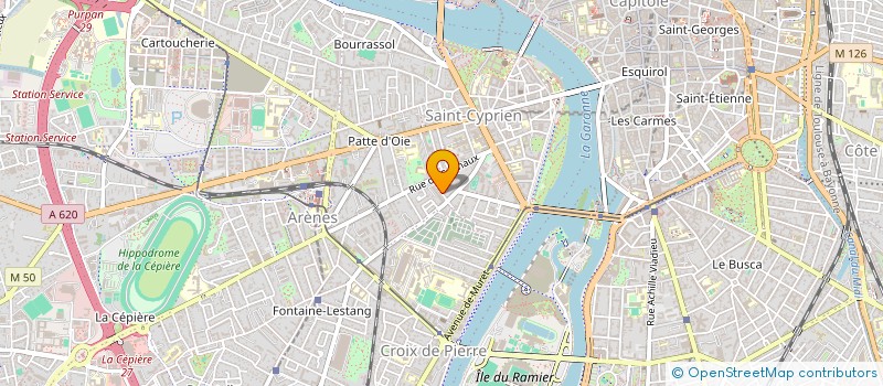 localisation de l'entreprise MONSIEUR MARTIN REMY  TOULOUSE