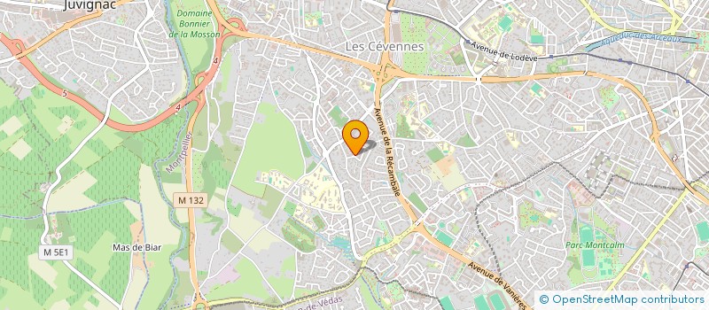 localisation de l'entreprise MONSIEUR MARTIN VILLALBA GONZALEZ à MONTPELLIER