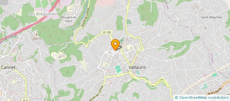 localisation de l'entreprise MONSIEUR MARVIN DELCROIX  VALLAURIS