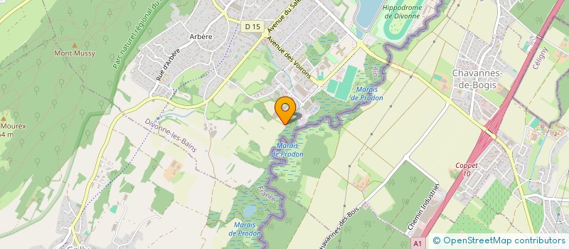 localisation de l'entreprise MONSIEUR MARVIN KOCH  DIVONNE-LES-BAINS