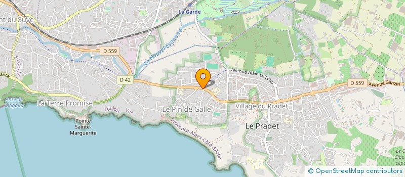 localisation de l'entreprise MONSIEUR MARVYN DESLANDES  LE PRADET