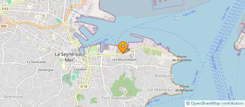 localisation de l'entreprise MONSIEUR MARWAN BOUAYADI  LA SEYNE SUR MER